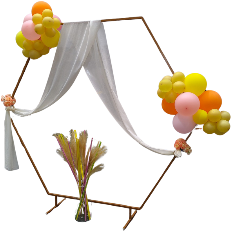 Une forme d'hexagone pour une arche sobre mais chic parfaitement adapté à votre fête