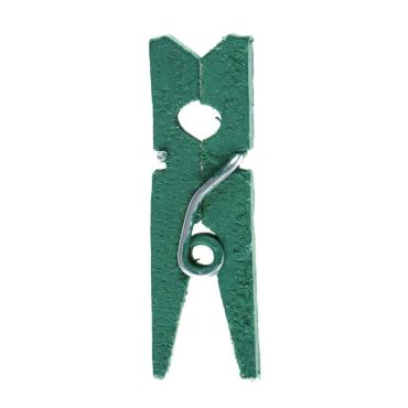 Un lot de 24 mini pinces en bois de couleur vert eucalyptus pour égayer votre table | jourdefete.com