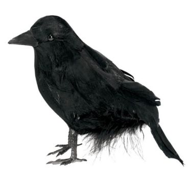Corbeau Noir à Poser Corbeau Noir à Poser