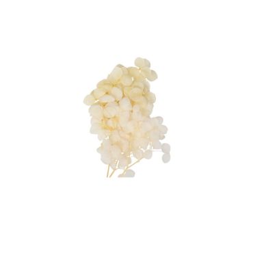 3 minis branches d'hydrangea 16 cm couleur naturel| jourdefete.com