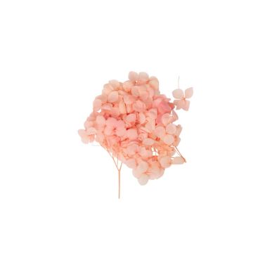 3 minis branches d'hydrangea 16 cm couleur rose | jourdefete.com