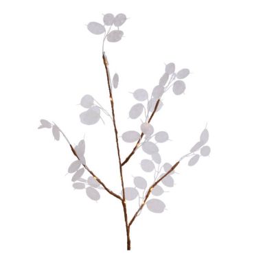 branche-monnaie-pape-led | jourdefete.com