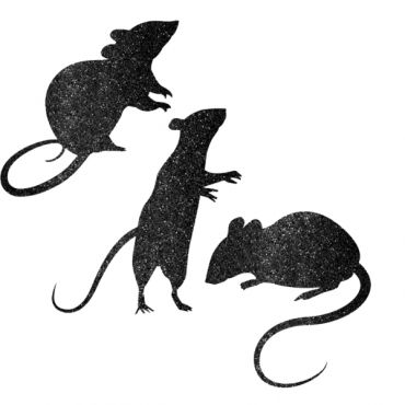 Silhouettes Rats Noirs Paillettées Silhouettes Rats Noirs Paillettées