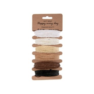 6 Cordelettes - Dégradé de Couleur