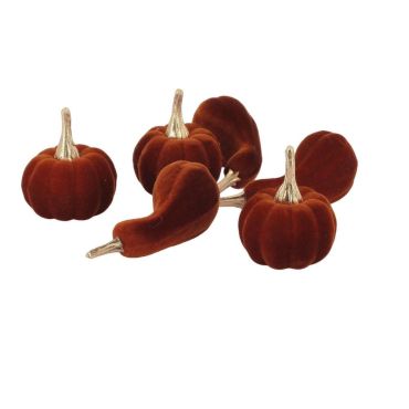 6 mini courges en velours ambré et tiges dorées décoratives | jourdefete.com
