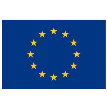  Drapeau Union Européenne
