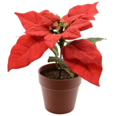 Décoration à Poser Noël - Poinsettia dans un Pot Décoration à Poser Noël - Poinsettia dans un Pot
