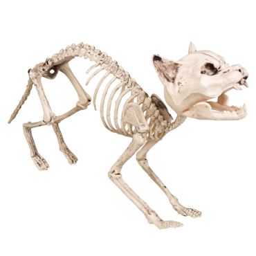 Décoration Halloween - Squelette de Chat 