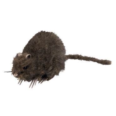 Décoration Rat Halloween 