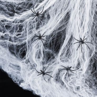 Halloween - Toile d'Araignée Blanche Halloween et ses 6 araignées