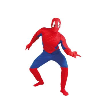 Déguisement Homme Araignée