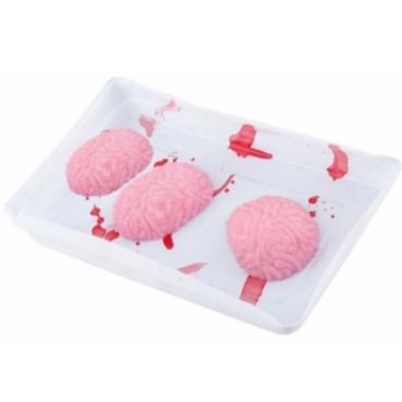 Barquette contenant 3 mini cerveaux