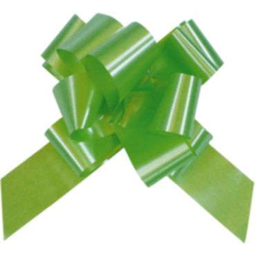 Noeud Automatique Polypro Vert Anis