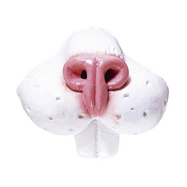 ACCESSOIRE NEZ DE LAPIN
