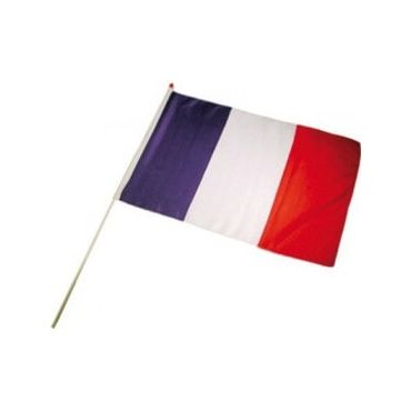 Un petit drapeau et sa hampe facile à transporter avec vous et suivre vos équipes préférées | jourdefete.com