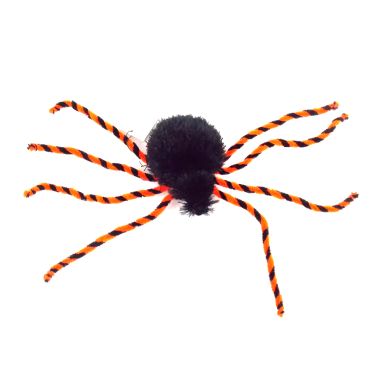 Araignée douce aux pattes oranges
