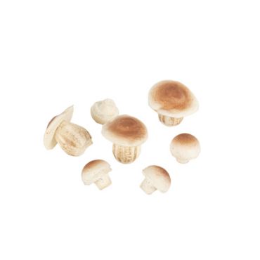 7 champignons en mousse deco automne | jourdefete.com