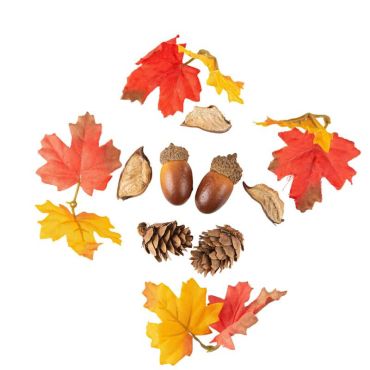 De nombreuses décos d'automne à disposer sur votre table | jourdefete.com