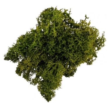 mousse-vegetal-decoration-table|jourdefete.com