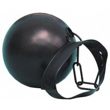 Boulet de prisonnier