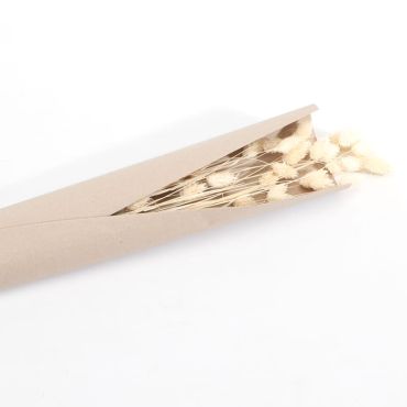 Bouquet de Phalaris Séché - Couleur Blanc