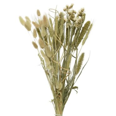 Bouquet sur tige de fleurs séchées blanches - 45 cm | jourdefete.com