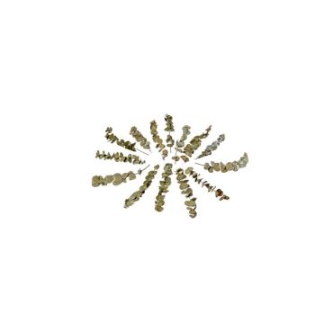 branches-eucalyptus-seche-decoration-table-salle | jourdefete.com