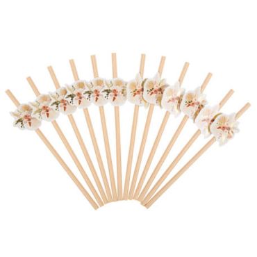 Lot de 12 pailles de la collection Coachella | jourdefete.com