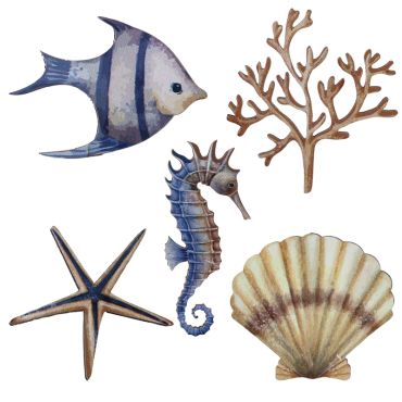 Décorations coquillages à parsemer pour table ambiance marine | jourdefete.com