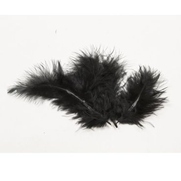 20 Plumes Décoratives - Noir