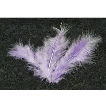 20 Plumes Décoratives - Parme