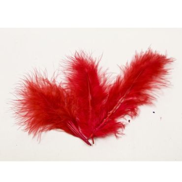 20 Plumes Décoratives - Rouge