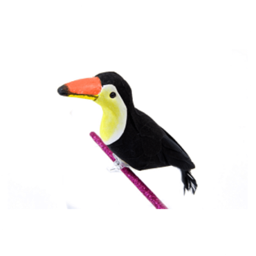 Toucan sur Pince Toucan sur Pince