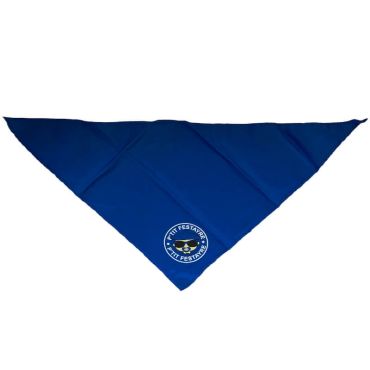 Foulard bleu avec logo p'tit festayre pour bébé