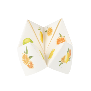 8 cocottes Fizz Agrume avec des illustrations d’oranges et de citrons colorés | jourdefete.com