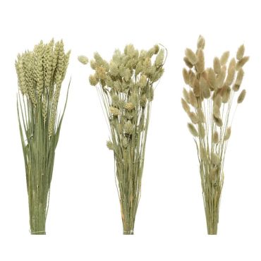 Bouquet d'Herbes Séchées - 60 cm - Modèle aléatoire