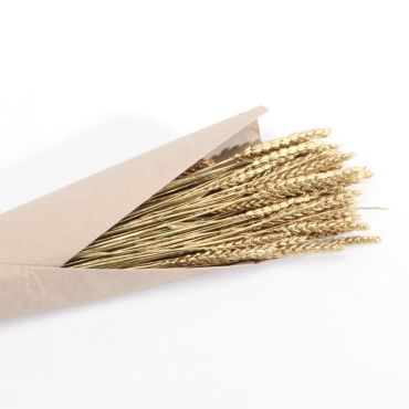 bouquet de blé de couleur or