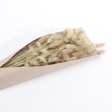 bouquet de lagurus séchés