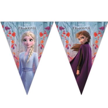 guirlande-fanions-reine-des-neiges-frozen | jourdefete.com