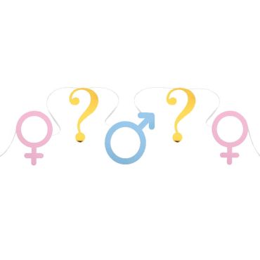 Banderole de 5 mètres de la collection Girl or Boy ?