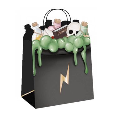 4 sacs cadeaux apprenti sorcier | jourdefete.com