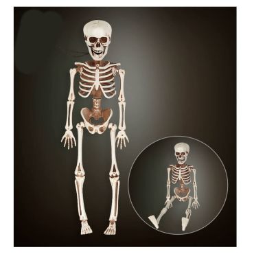 squelette en plastique de 40 cm | jourdefete.com