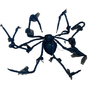 Araignée noire animée