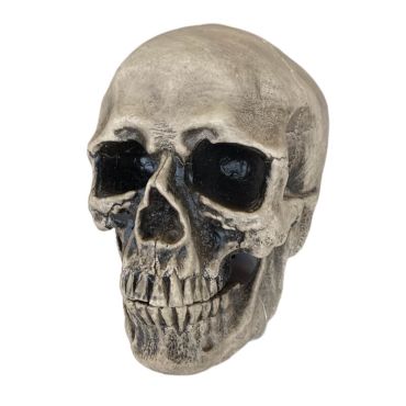 Tête de mort en plastique à poser