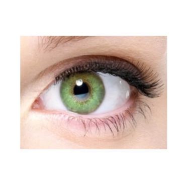 lentilles-vertes-accessoire | jourdefete.com