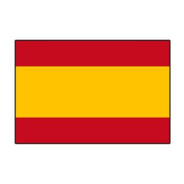Lot de 10 drapeaux - Espagne