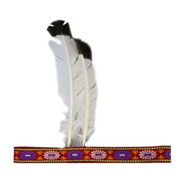 bandeau avec plumes | jourdefete.com