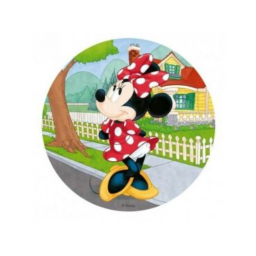 anniversaire disque azyme minnie | jourdefete.com