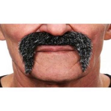 Moustache Poivre et Sel