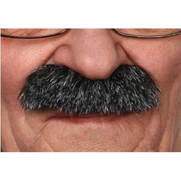 Moustache "Brosse" - Noir méché blanc